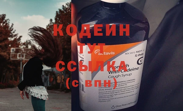 сатива Сатка
