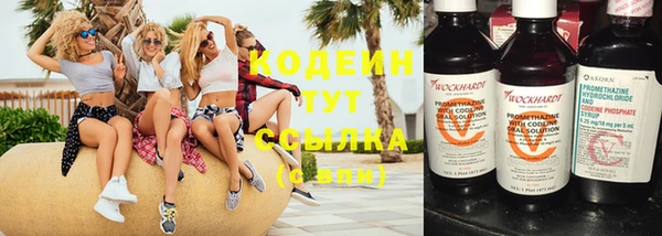 кокс Алексин